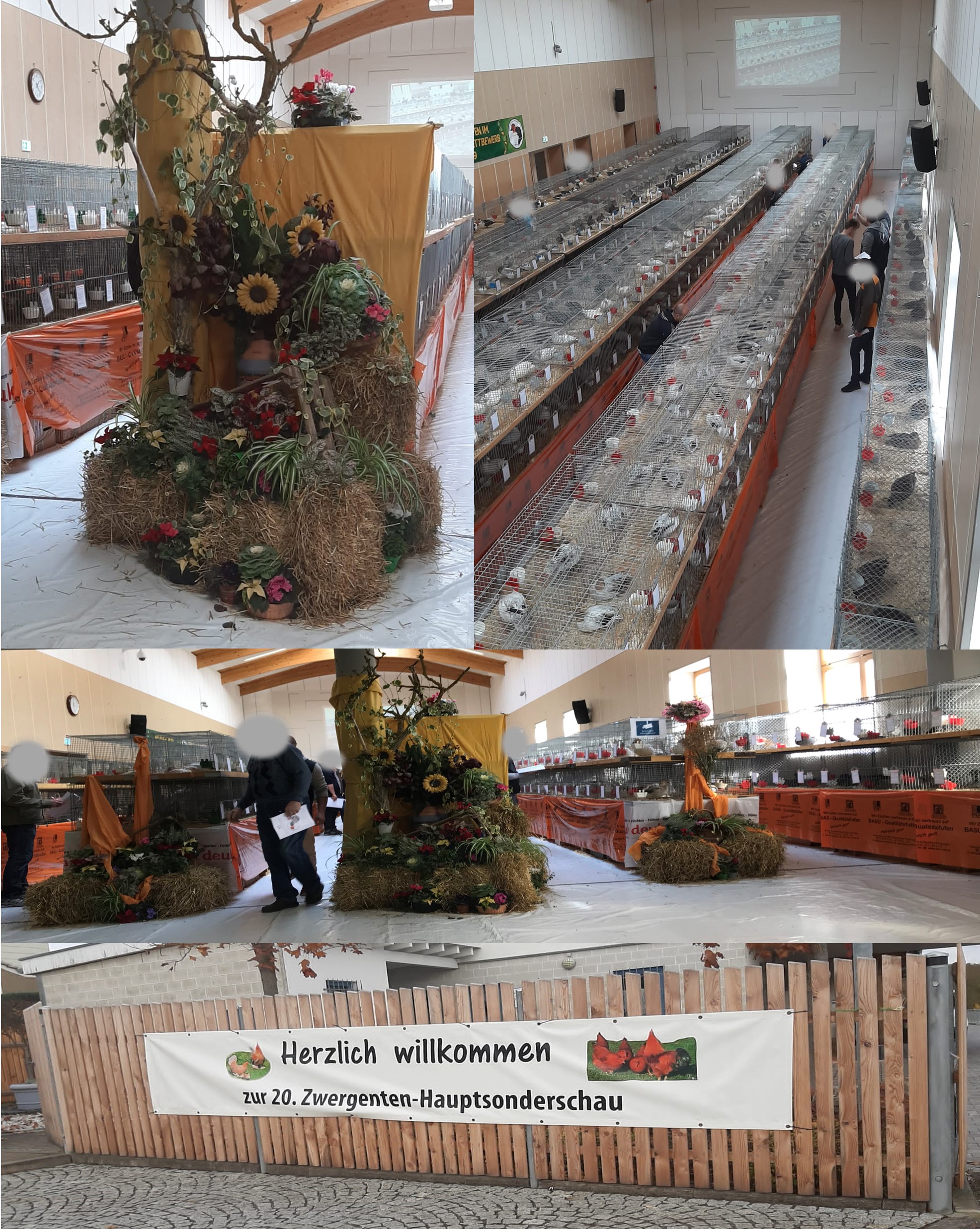 20.HSS_Zwergentenzüchter